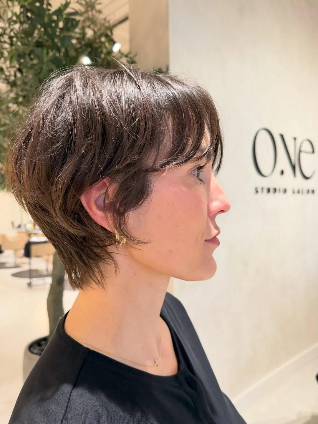 cute summer bixie haircut 2026 Polished Bixie with Longer Layers and Side Sweep