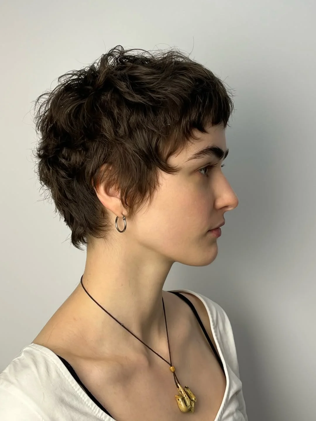 cute summer bixie haircut 2026 Curly-Inspired Bixie with Soft Volume