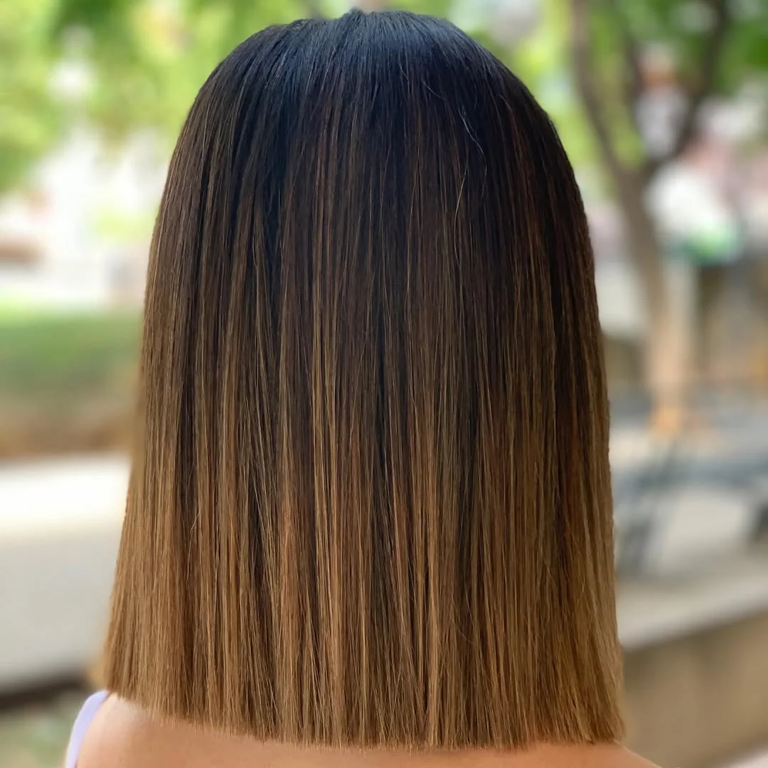 caramel summer ombre hair color 2026 Minimalist Straight Ombre With Clean Ends