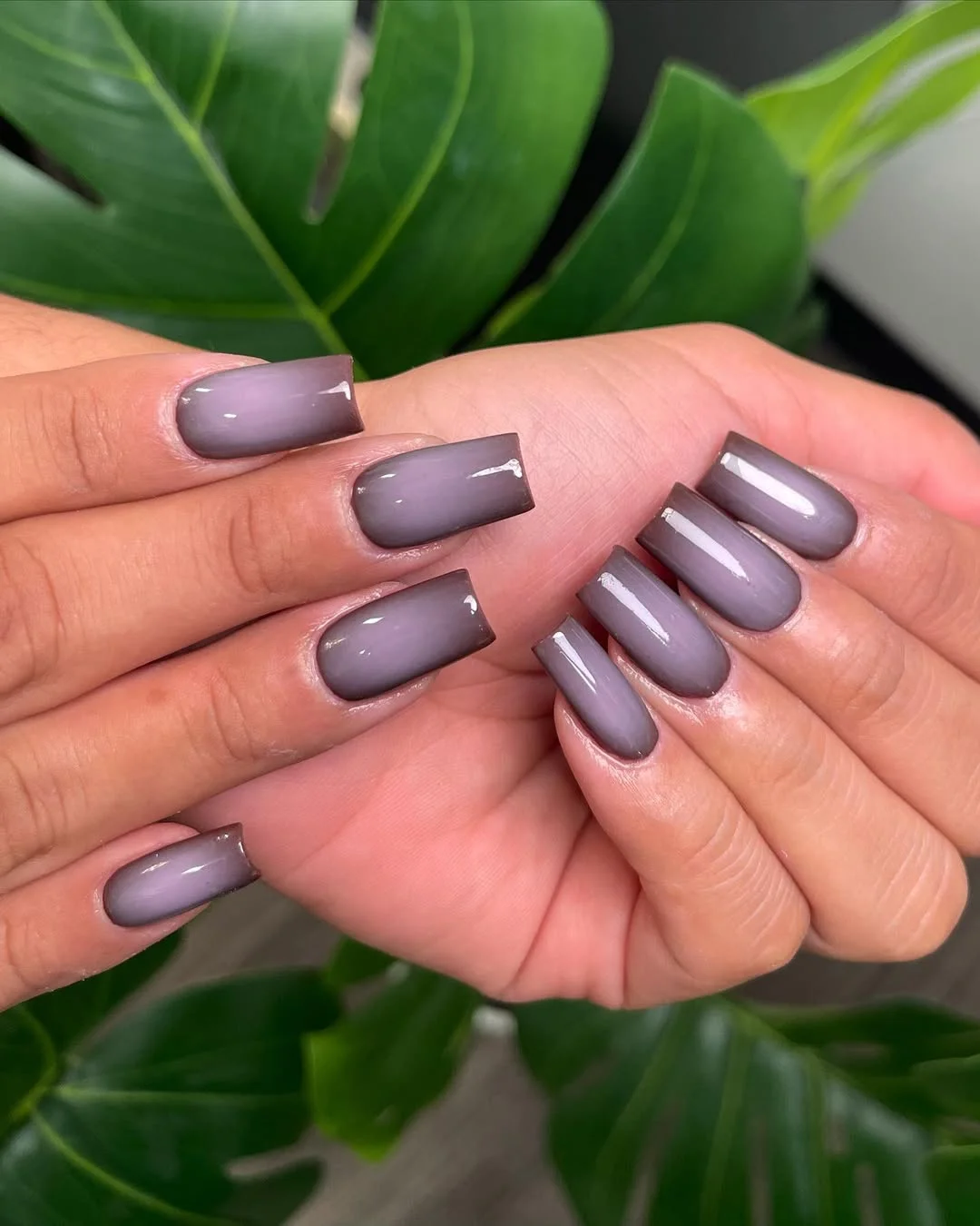 summer nails square 2026 Smoky Lavender Square Nails