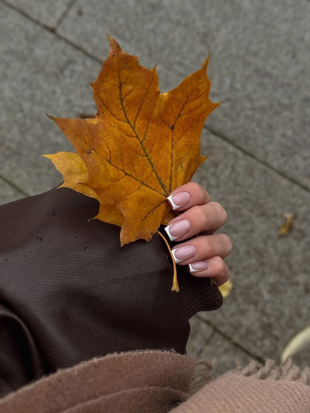 chic fall gel nails ideas 2026 short natural French tip manicure