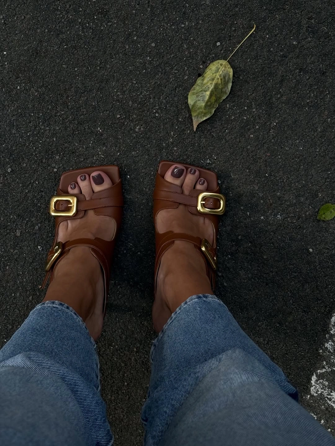 stylish fall toe nails colors 2026 - Deep Brown Pedicure for the First Cool Days